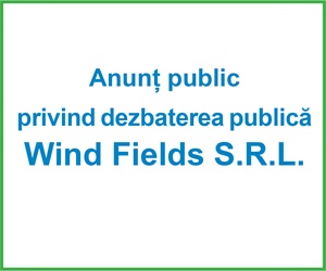 Wind Fields S.R.L. - desktop