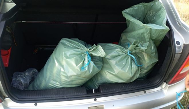 Peste 70 kg pește fără documente legale, confiscate de polițiștii de frontieră - -1539940249.jpg