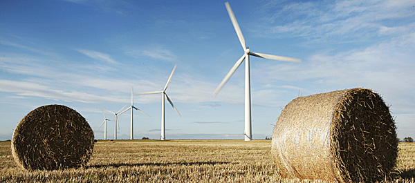 ANM/ Avertizare de vânt puternic în Dobrogea și, în special, pe litoral - 0112wind-1343026336.jpg