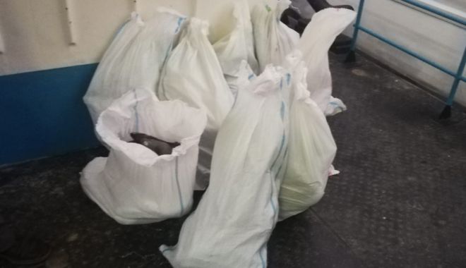 160 kilograme de pește, confiscate de polițiștii de frontieră - 020501-1556797175.jpg