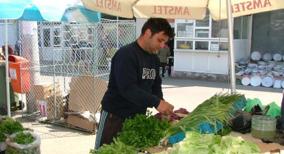 Țăranul nu mai poate vinde ștevia, ceapa și brânza, dacă nu-i persoană fizică autorizată - 06213775871ff7d6d4e85a30ed011536.jpg
