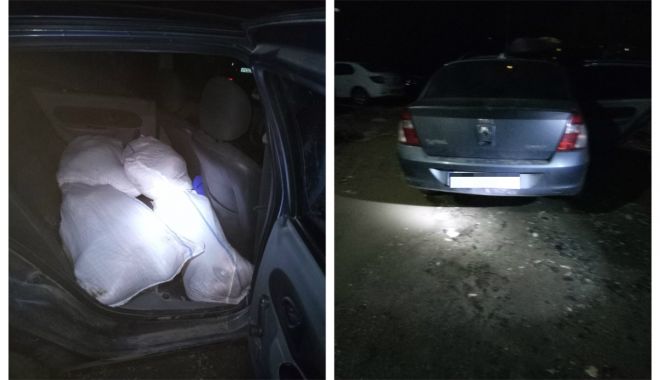 200 kg pește fără documente legale, confiscate de polițiștii de frontieră constănțeni - 070202-1549529585.jpg