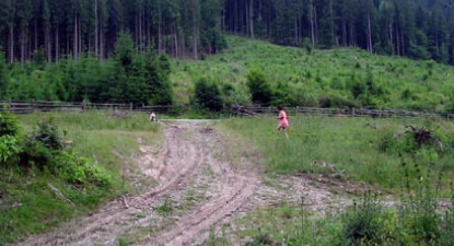 Pădurea de la Hârșova va lua naștere la primăvară - 070c06149f6a8c5853eb0e07c126e11e.jpg