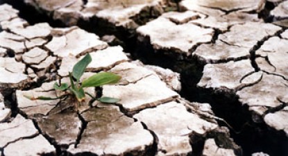 Constanța, pe locul doi între județele afectate de secetă - 0865a2682d751a58d08b2773a65bc047.jpg