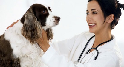Veterinarul pe recepție - 0c72e483c7a71bdfb5ddfe05bb597081.jpg