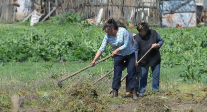 Harta șomajului în mediul rural constănțean - 0c8a5b5da0bf8ad3bf49be9ad3440a50.jpg