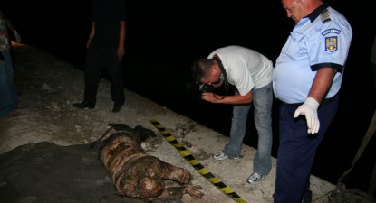 Polițiștii așteaptă rezultatele ADN pentru a o identifica pe femeia găsită moartă pe fundul Canalului - 0cf15c88d21e47a669f5fd3f2e2b8606.jpg