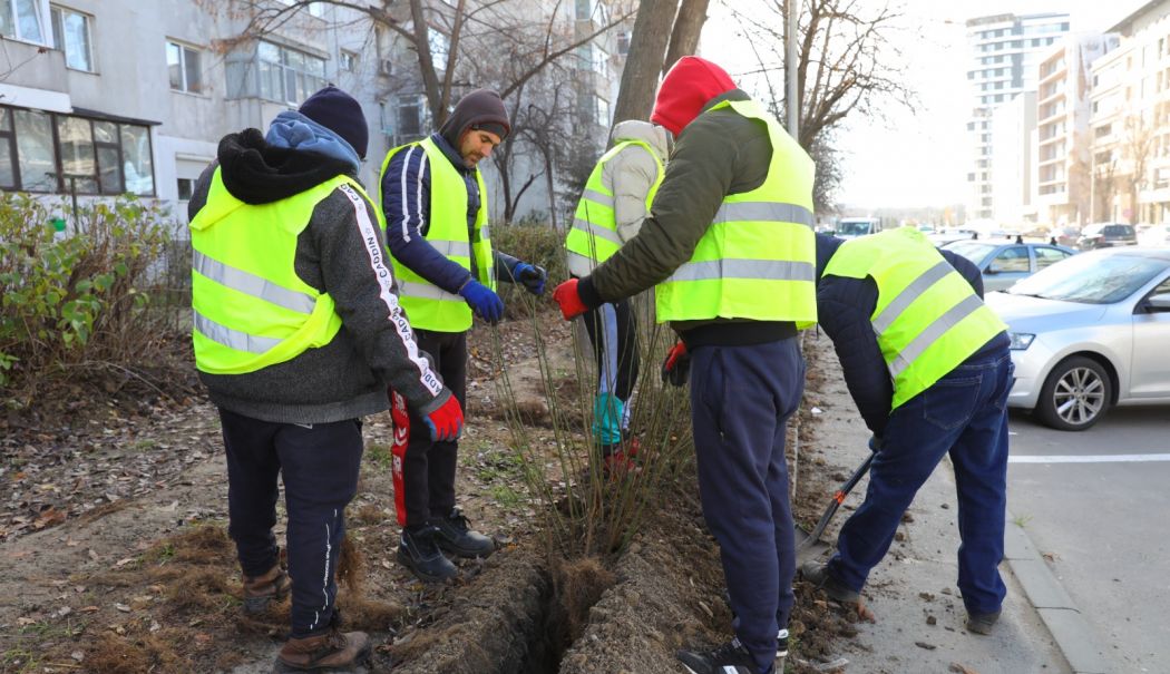 Spațiul verde urban, revitalizat! Se vor planta peste 140.000 de fire de arbuști - 1-1-1734435855.jpeg
