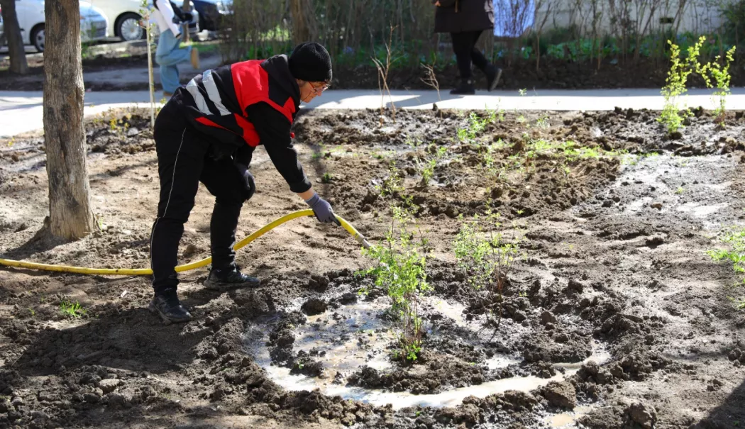 Primăria Constanța continuă regenerarea urbană pe aleea Hortensiei - 1-1-1775050487.webp