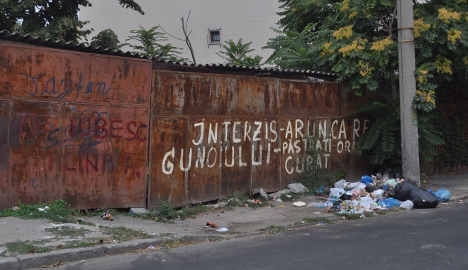 Avem semafoare cu inimioare, dar cine strânge rahatul de pe trotuare? - 1-1488185310.jpg