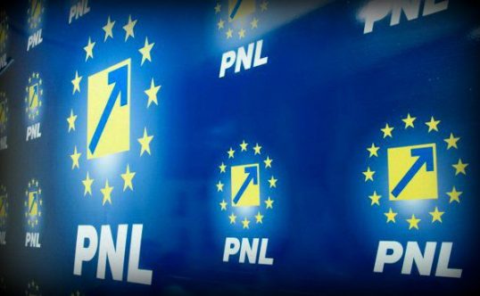 Liberalii vor alegeri anticipate în aprilie - 1-1577729413.jpg