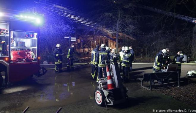 Dezastru la zoo! Zeci de maimuțe ucise într-un incendiu - 1-1577889190.jpg
