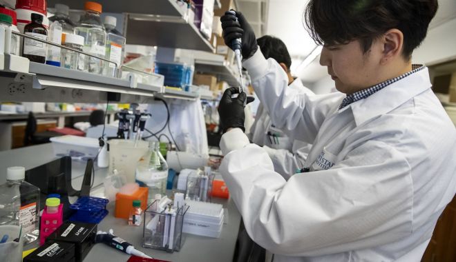 Universitatea Oxford a început primele teste cu vaccinul dezvoltat împotriva COVID-19 - 1-1592921006.jpg