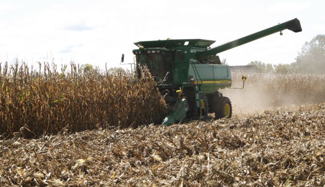 Dezastru în agricultură. 1,12 milioane de hectare distruse de secetă - 1-1600929878.jpg