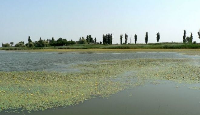 O nouă catastrofă ecologică. Lacul Iezer Călărași a secat - 1-1602848521.jpg