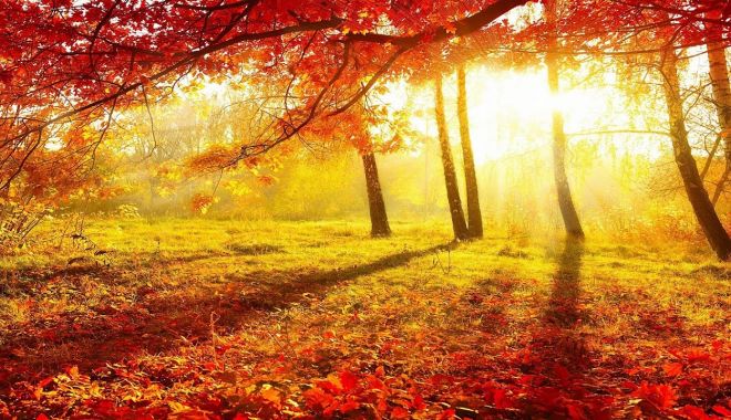Noiembrie 2020, cel mai cald noiembrie din istoria înregistrărilor meteo - 1-1607350685.jpg