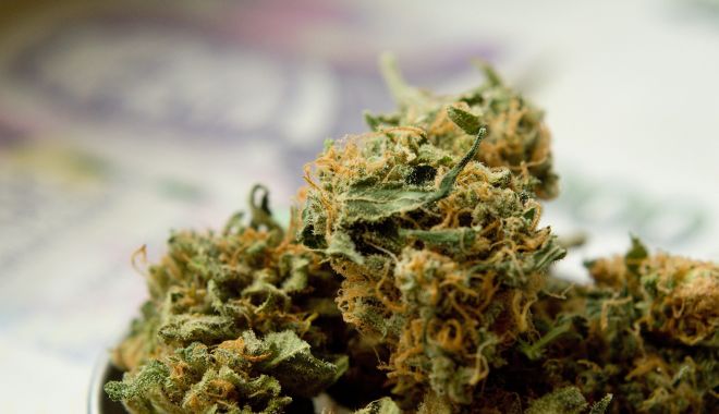 DIICOT: Orice produs care conţine THC, indiferent de concentraţie, se încadrează noţiunii de drog - 1-1611071220.jpg