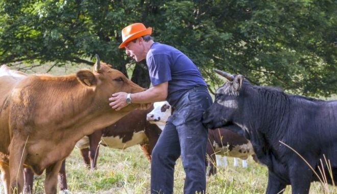 APIA eliberează adeverinţe pentru crescătorii de animale care vor să acceseze credite - 1-1680010192.jpg