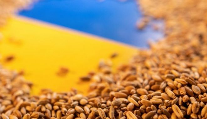 România susţine reintroducerea taxelor vamale pentru importurile de cereale din Ucraina - 1-1681903653.jpg