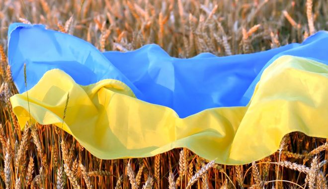 ANSVSA nu va permite importurile de grâu, porumb, floarea-soarelui şi rapiţă originare din Ucraina, până la 5 iunie