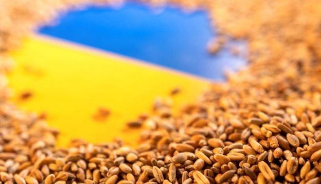 Scandalul cerealelor. Ucraina se pregăteşte să dea în judecată Polonia, Ungaria şi Slovacia - 1-1695037475.jpg