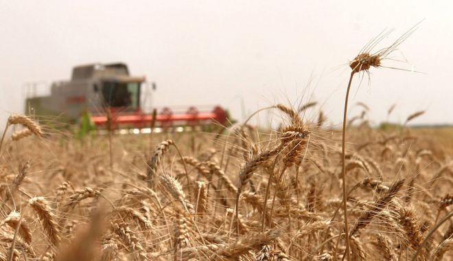 AFIR primeşte solicitări de finanţare pentru decontarea primelor de asigurare a culturilor, animalelor şi plantelor
