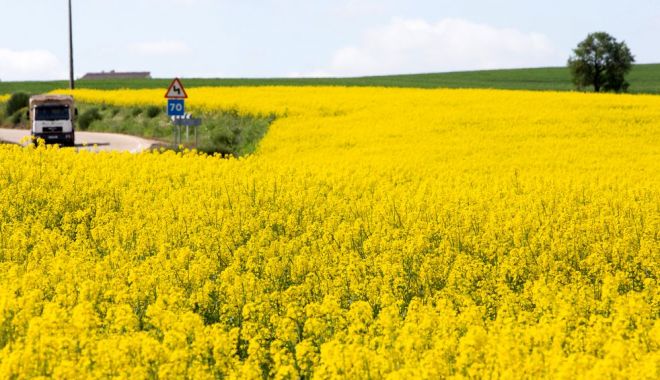 Investiţii, agricultură, finanţe. INFO economic - 1-1697362811.jpg