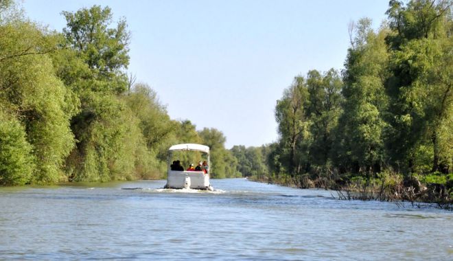 Semnal de alarmă din Delta Dunării. 