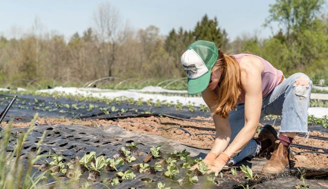 Aproximativ 100 de fermieri, înscrişi în cea de-a V-a serie a programului „Tineri Lideri pentru Agricultură” - 1-1698145291.jpg