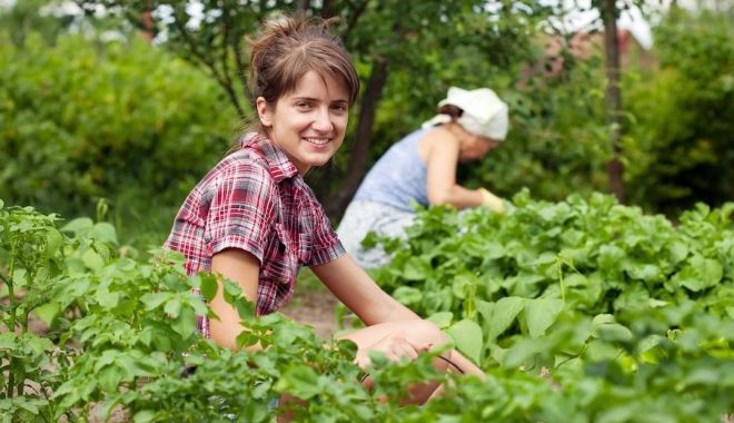 Agricultură: Peste 250 milioane euro, disponibile pentru instalarea tinerilor fermieri - 1-1698927586.jpg