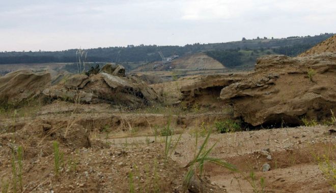 ADS: Constanţa, judeţul cu cele mai multe hectare de teren agricol neproductiv - 1-1699955277.jpg