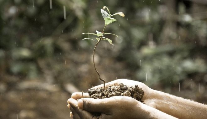 Ministerul Agriculturii: Zona Dobrogei, record la capitolul precipitaţii