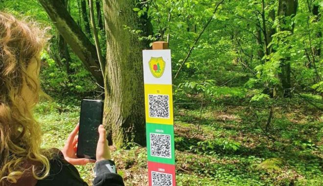 Secretele pădurii! Un traseu educativ va fi inaugurat, anul acesta, în judeţul Constanţa - 1-1705837592.jpg