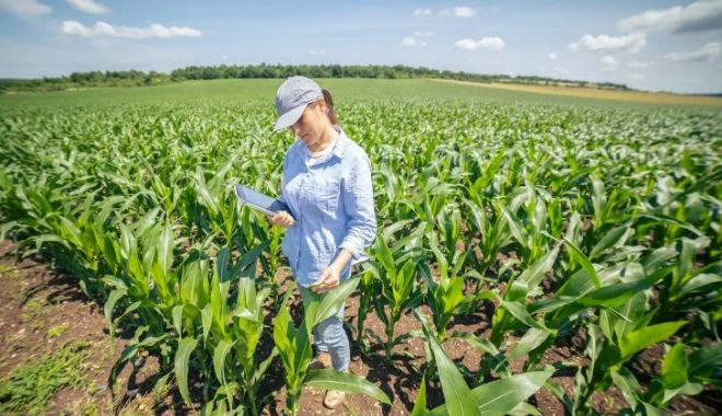 Agricultură: Vin banii pentru fermierii constănţeni cu activitate în sectorul vegetal