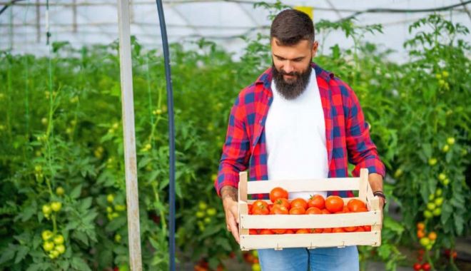 Vin banii pentru cultivatorii de roşii şi usturoi. „Şi totuşi, aceste subvenţii nu rezolvă esenţa problemei!”