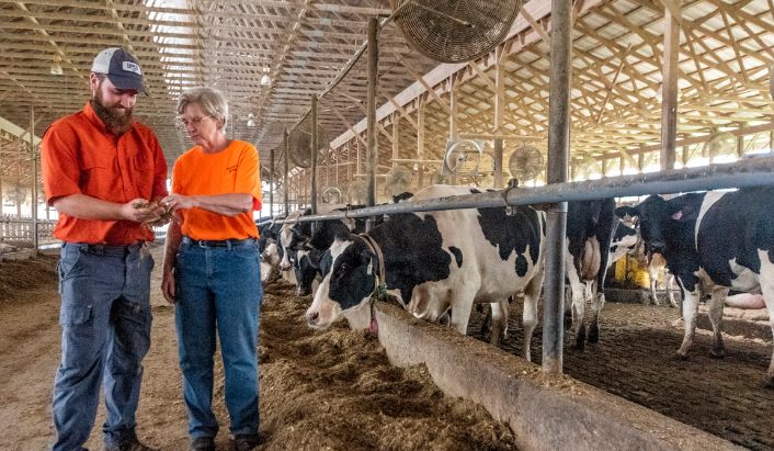 Sprijin financiar în valoare de 2,66 milioane lei pentru crescătorii de animale - 1-1715161012.jpg