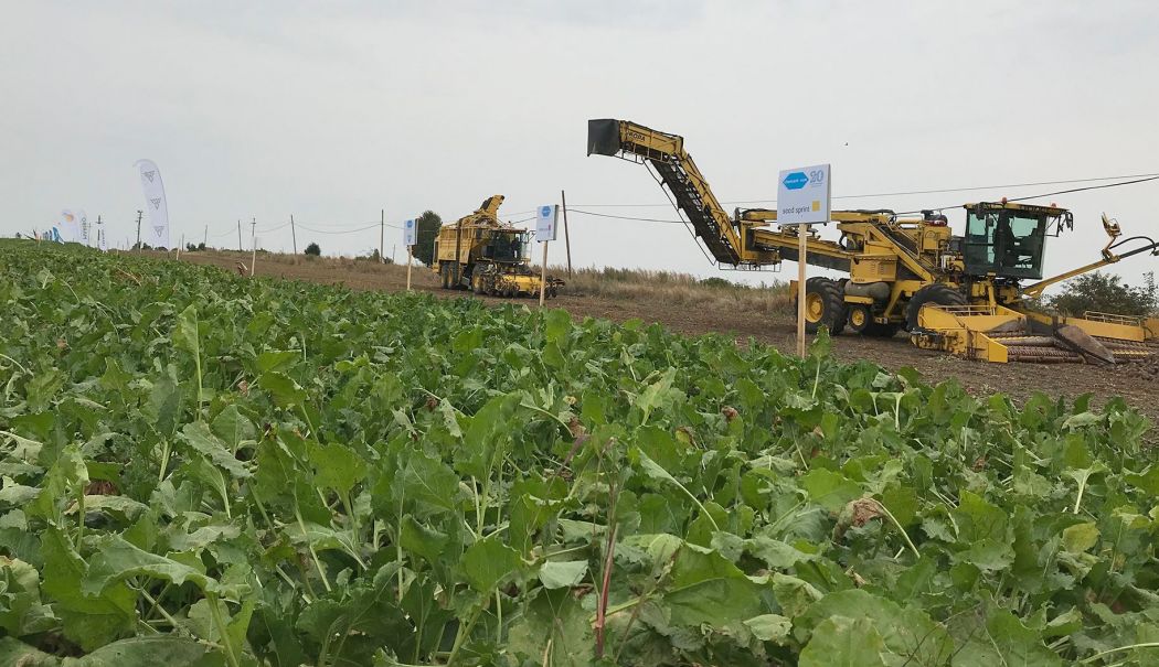Registrul Comerţului, agricultură, infrastructură feroviară. INFO economic - 1-1717924092.jpg