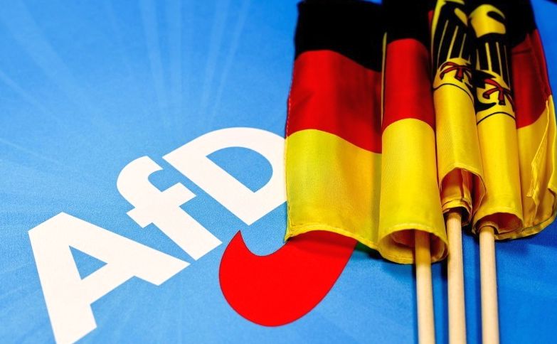 Partidul de extremă dreapta Alternativa pentru Germania vrea să creeze un nou grup în PE - 1-1719304663.jpg