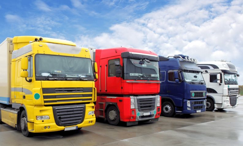 Producţie industrială, e-Transport, energie. INFO economic - 1-1719923387.jpg
