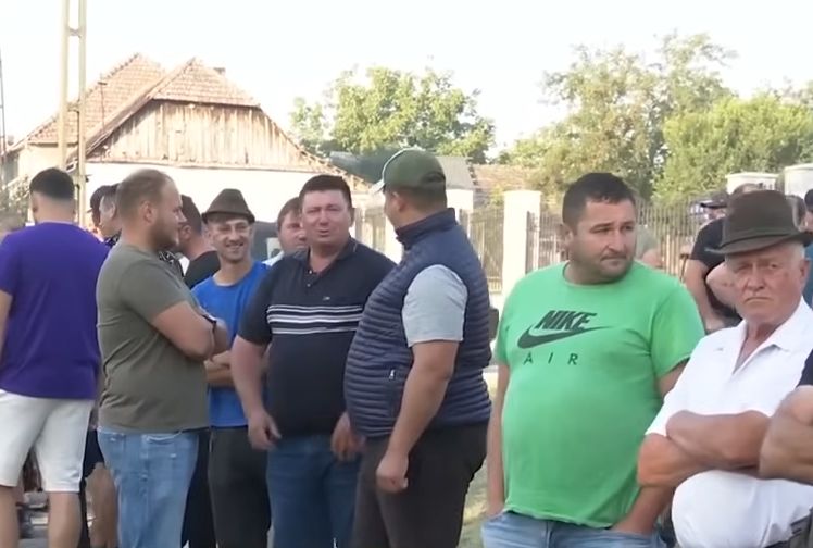 Crescătorii de oi, proteste în stradă! PRO AGRO solicită Guvernului un control mai ferm asupra ANSVSA - 1-1725353251.jpg