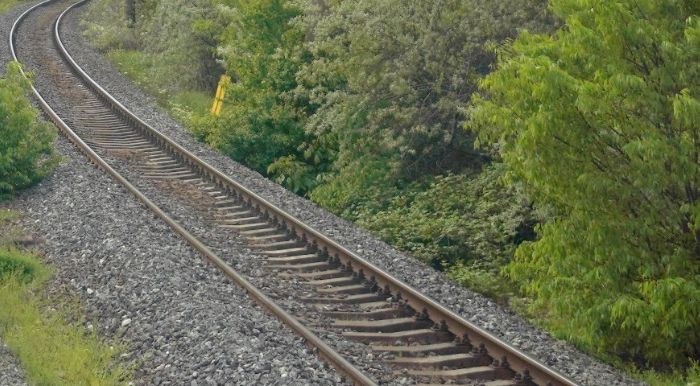 CFR: Circulaţia feroviară, temporar oprită între staţiile CF Neptun şi Costineşti - 1-1725362207.jpg
