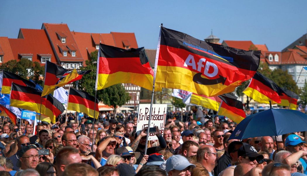 Ministrul lituanian de externe: Succesul AfD în alegerile regionale din Germania, un trend european - 1-1725436207.jpg