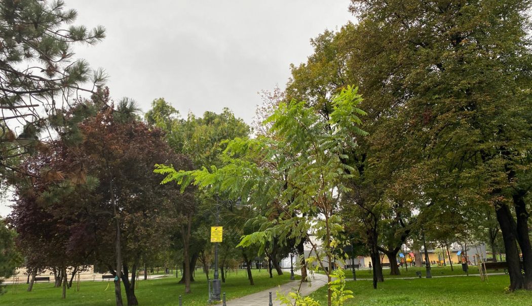 Atenţie, cetăţeni! Cod galben de vânt puternic la Constanţa - 1-1731314703.jpeg