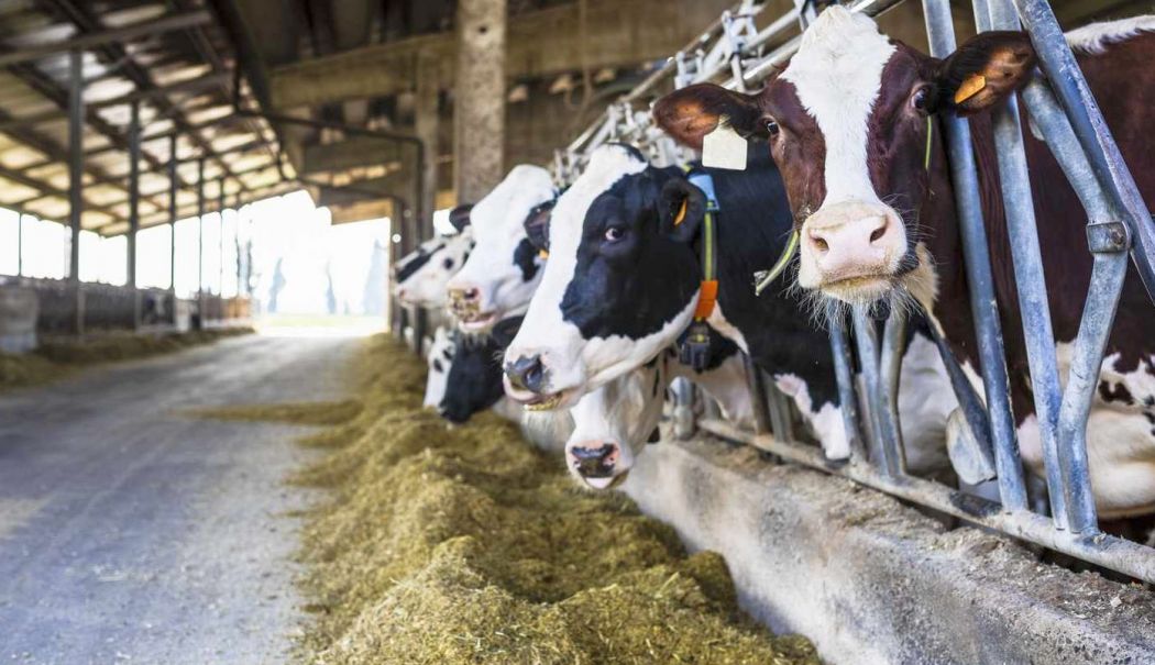 Bursă, agricultură, deficit comercial. INFO economic - 1-1731319708.jpg