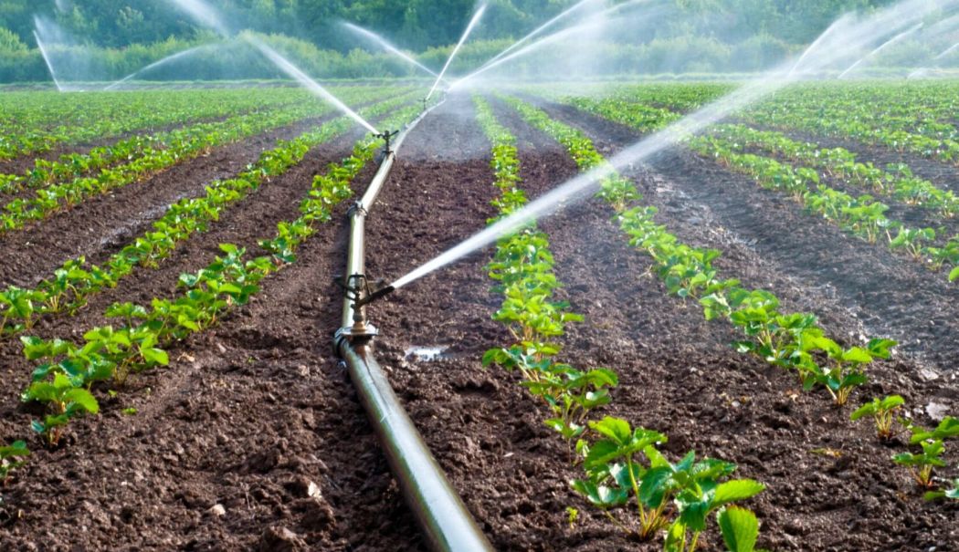 Asigurări, agricultură, energie. INFO economic - 1-1739362696.jpg