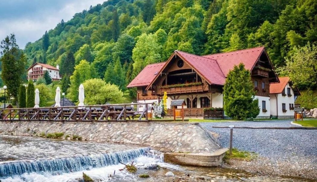 Energie, turism, industrie prelucrătoare. INFO economic - 1-1740130574.jpg