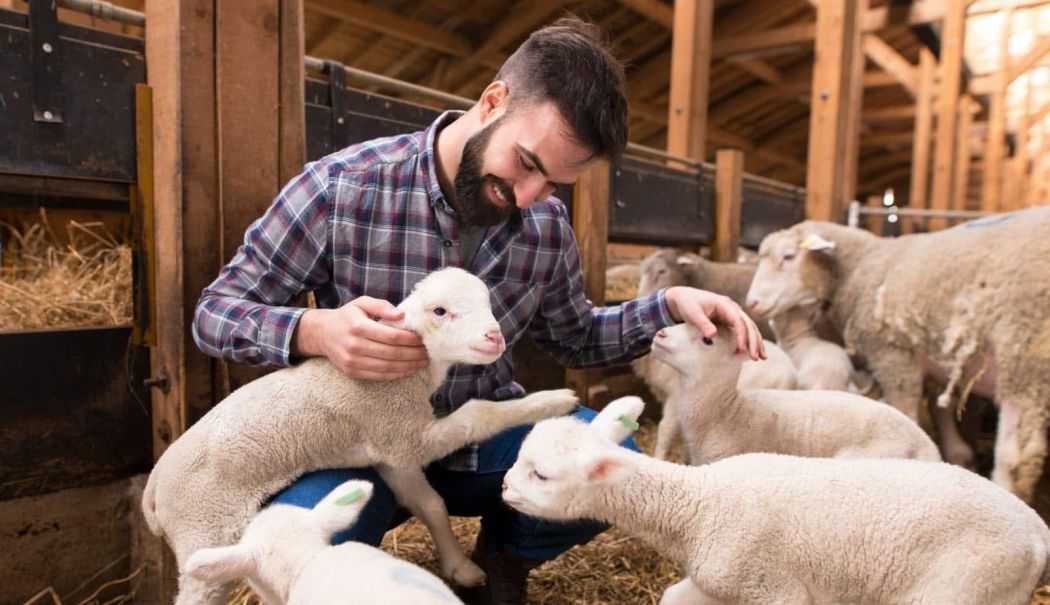 Muncă multă, bani puţini! Cât de profitabilă mai este afacerea 