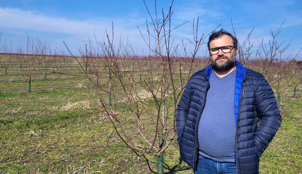 Jale mare în pomicultura constănţeană. „Culturile de cais şi piersic sunt compromise!” - 1-1744034360.jpg