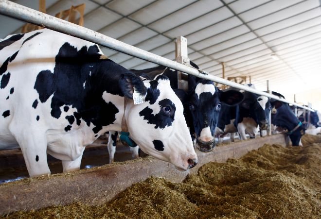 Deficit comercial, agricultură, energie. INFO economic - 1-1744193747.jpg