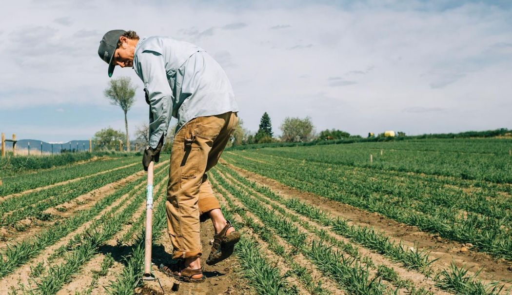 Banking, agricultură, producţie de cărbune. INFO economic - 1-1745314342.jpg